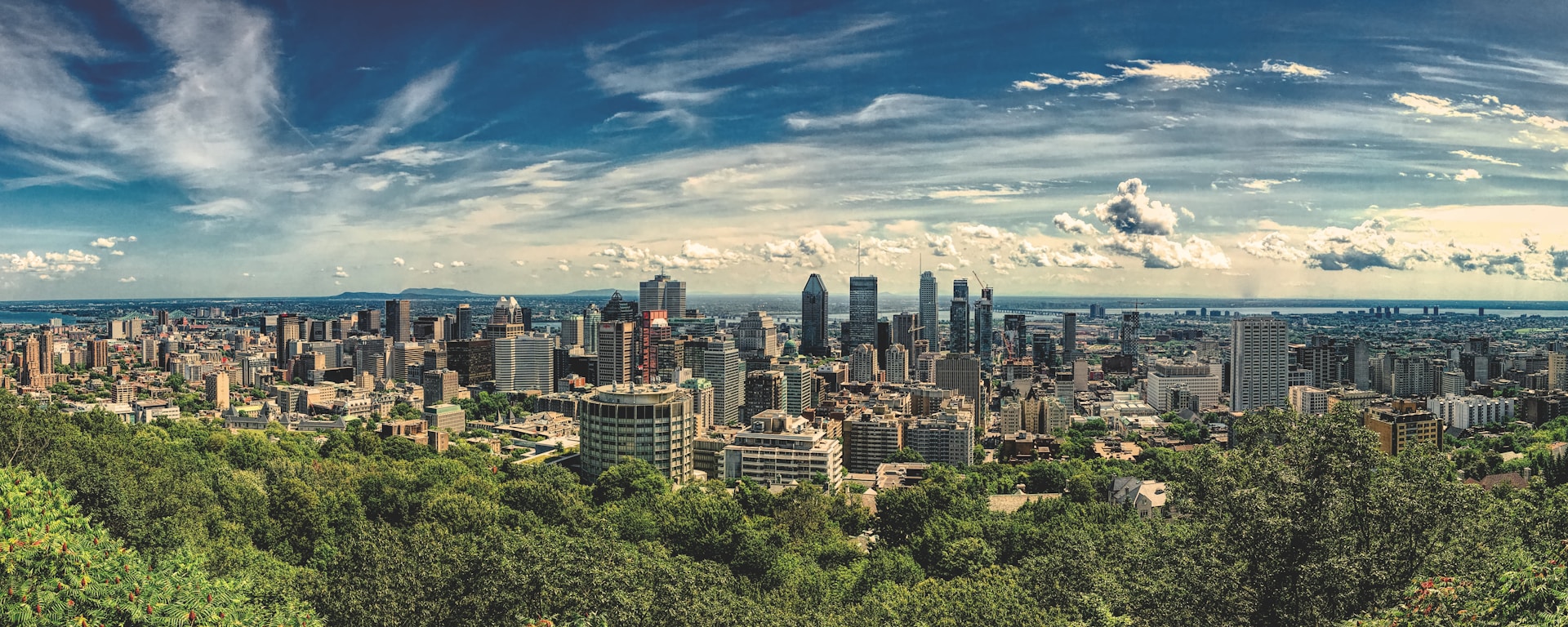 Vue du centre ville de Montréal du haut d'une montagne